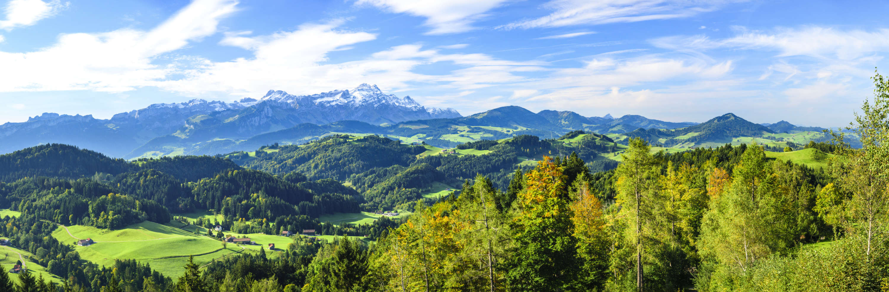 Übersetzungsbüro Schweiz - Ihre Übersetzungsagentur für professionelle Übersetzungen